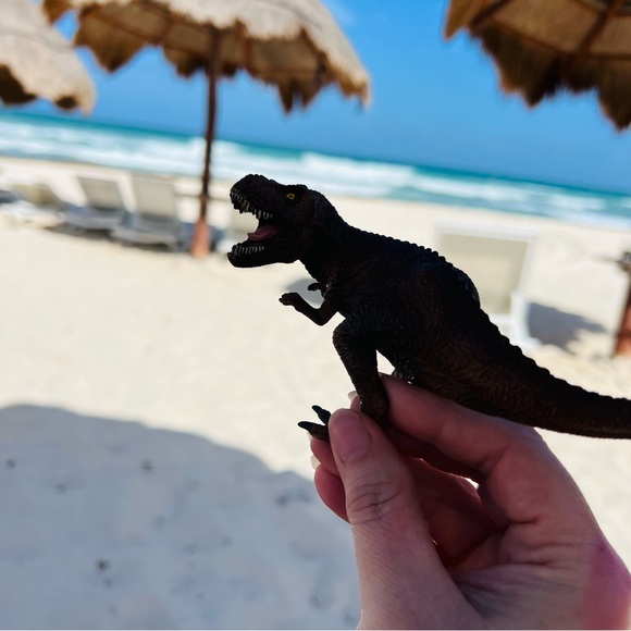 Tispy T-Rex Live Estate Jewelry Show Schedule.  New Shows added weekly - Picture 7 of 10